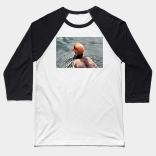 Kolbenente (Netta rufina) - Red-crested Pochard Baseball T-Shirt